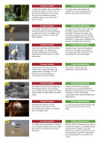 0104_Commentaires-J3