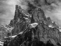 0006-WINTERHALTER-Francois-La-Corne-du-Chamois