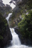 0030-AMOZOQUENO-Camilo-Au-fil-de-leau