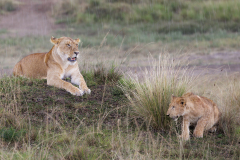 0015-FOURNIER-Laurence-Sous-la-pluie