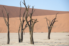 0042-CHABOD-Luc-DeadVlei