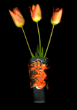CHABONAT_Alain_Tulipes