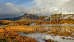 gaubin-sylvie-lac-du-connemara