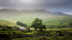 Fournier-Laurence-Brouillard-irlandais