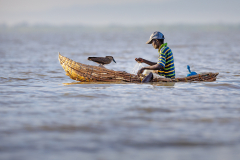 Fournier-Laurence-Le-pecheur-et-l-ombrette