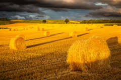 conan-serge-lumiere-dor_