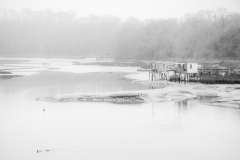 CAPORAL Jean-François, Carrelet dans la brume, monochrome, créative