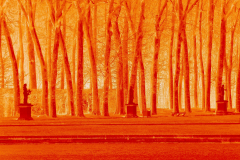 CHEVIGNARD Bruno, Incendie, monochrome, créative