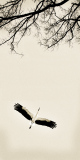 Coudun Jean-Luc, Cigogne, monochrome, minimaliste