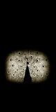 Coudun Jean-Luc, Paon, monochrome, minimaliste