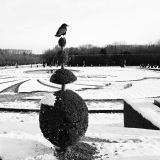 GOAVEC Martine, Sur un arbre perché, monochrome, paysages