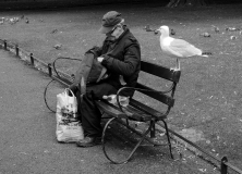 Chabonat Alain, L'homme et la mouette, monochrome, street