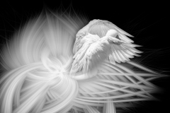 Le Bourhis Josette, Evasion, monochrome, créative