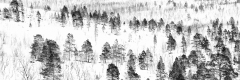 MEICLER Ghislaine, jour blanc, monochrome, paysages