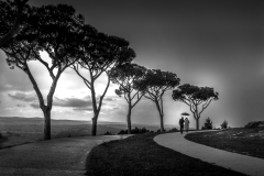Plantier Stéphanie, Balade au crépuscule, monochrome, paysages