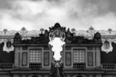 RILAT Nicolas, Zeus, monochrome, créative