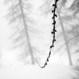 VICARI Alain, N, monochrome, créative