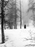 VICARI Alain, égaré, monochrome, paysages
