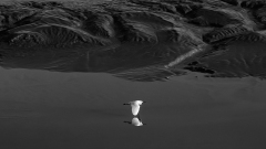 WINTERHALTER François, Terres noires - Ombre blanche, monochrome, nature