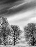 WINTERHALTER Elizabeth, Danse dans l'orage, monochrome, nature