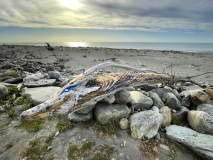 RIPOLL_Anne_echouage