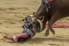 GRÉGOIRE Philippe L'impact couleur sport