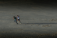 LERZY Denis le vert en tete couleur minimaliste