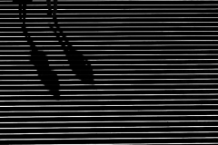 BROUSSARD Simon Ombres monochrome street
