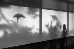 ZINDY Gilles Histoire d'ombres monochrome street
