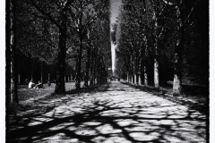 conan serge sur le chemin  monochrome créative