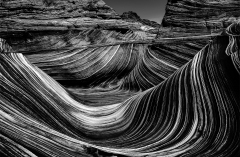 BEAU-Roger_La-Wave