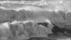 GAUBIN_Sylvie_Vagues-Deferlantes