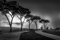 PLANTIER_Stephanie-Balade-au-crepuscule