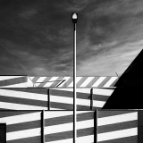 VICARI_Alain-zebrures