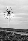DARNAULT Assunta Eolienne monochrome paysages