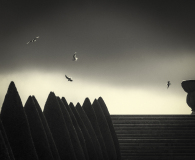 AUTHIE-Anne-Lise-Les-mouettes