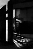 AMOZOQUENO-Camilo-Escalier-dans-l39ombre-3