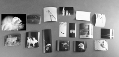 animalier-creatif