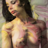 0001-MUSSET-Franck-Nu3