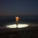 0023-DURAND-Herve-Dissipation