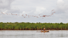 0071-REMOADI-Albert-Vol-sur-la-peche
