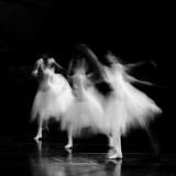 P-Nicolas-RILAT-danseuses