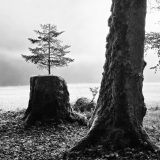 05-GOAVEC-Martine-Renouveau