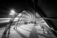 12-FOURNIER-Laurence-Le-tunnel