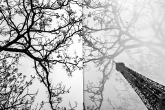 24-GAYET-Nathalie-Eiffel