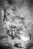 0045-VICARI-Alain-Miroir