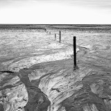 0051-DARNAULT-Assunta-Piquets-en-mer