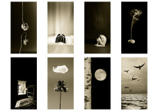 Coudun Jean-Luc, Fragilités 2,  monochrome, minimaliste