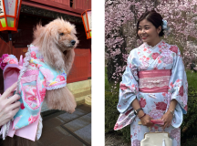 CHABOD Luc, Mimétisme, couleur, portrait