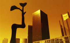 Darnault Assunta, Redscale 2, couleur, architecture